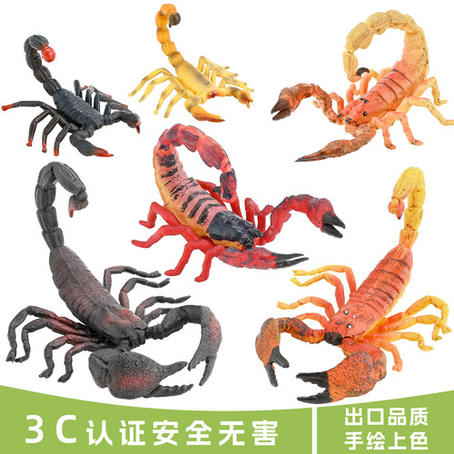出口品质蝎子实心无异味昆虫模型