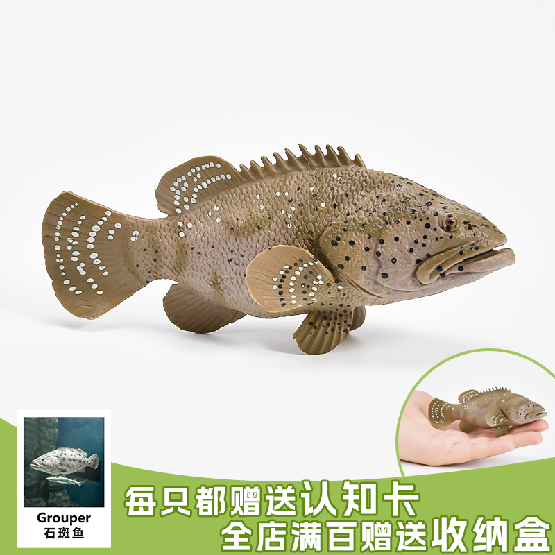 石斑鱼实心出口品质做工精细