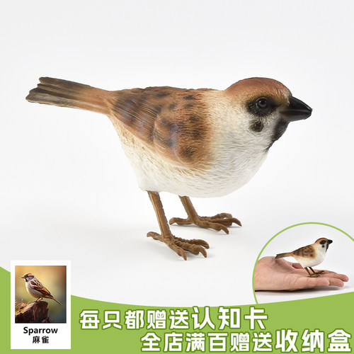 鸟麻雀实心工艺出口品质做工精细