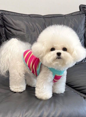 狗狗衣服春夏薄款条纹吊带背心