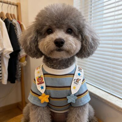 春夏薄款防掉毛网红狗狗衣服