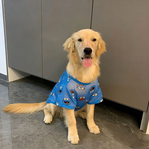 中大型犬夏季薄款透气防晒降温衣