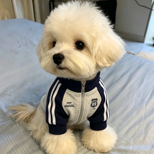 新款狗狗衣服超帅秋冬季狗狗衣服加绒雪纳瑞泰迪比熊中小型犬衣服