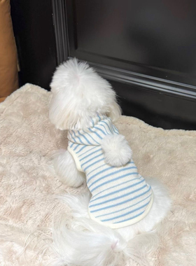 狗狗条纹连帽卫衣可爱风卫衣衣服约克夏雪纳瑞比熊2025年新款猫咪