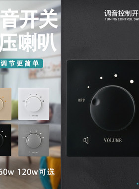大功率定压调音开关柯多朗