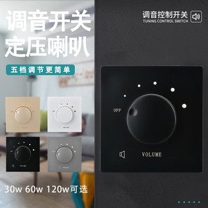 大功率定压调音开关柯多朗