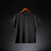 t恤男士 短袖 中国风上衣真丝桑蚕丝薄款 半袖 2025新款 宽松大码 夏季