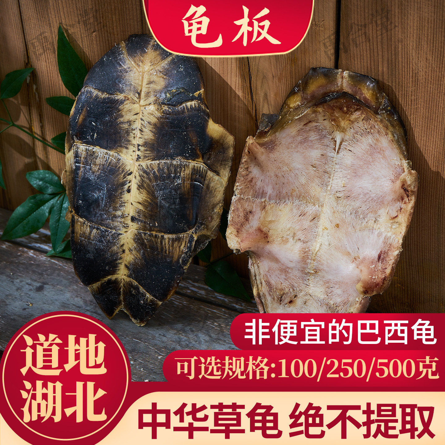 龟板中药材250g生龟甲 龟背甲 龟腹甲 乌龟壳另有c龟甲鳖甲