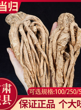 全当归个/片250克/500克甘肃岷县
