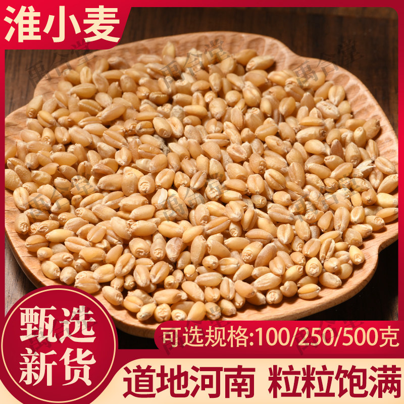 新货淮小麦中药材正品甘麦大枣汤原料怀小麦中药材另售甘草大红枣