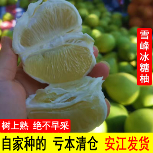 脆甜中华药柚湖南怀化老树雪峰柚安江冰糖柚新鲜小苦柚金兰柚泰柚
