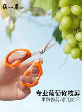 张小泉剪刀家用修果剪修枝剪叶剪稀果葡萄剪子修枝剪花艺剪疏果剪