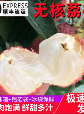顺丰包邮5斤现摘新鲜荔枝王无核小核蜜丁香肉厚香甜当季孕妇水果