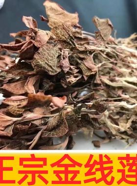 福建林下生态种植金线莲红霞肝茶干品整株大叶养生茶50g礼盒药材