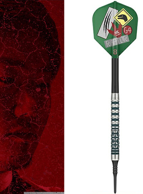 TARGET探极日本西谷让二亚洲镖手 RAPTOR-G4 90钨钢软式18克飞镖