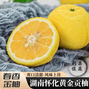 湖南怀化黄金贡柚洪江特产象山青雪峰冰糖柑春香桔柚橘子纯甜水果