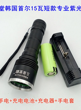 韩国首尔15瓦紫光手电筒验钞荧光灯365nm便携验钞强紫紫外线纸币