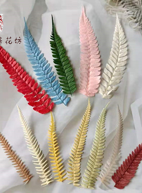 蕨叶永生花龙爪保鲜叶子玻璃罩花环团扇配diy手工制作材料包叶子