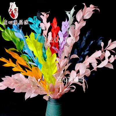 左心房永生花保鲜花DIY叶子配材