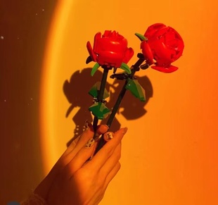 中国花束玫瑰花永生花益智积木玩具表白求婚情人节礼物520