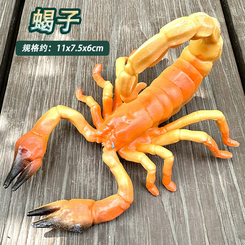 大号昆虫动物仿真模型蜘蛛蝗虫蝎子蚂蚁独角仙儿童科教认知摆件