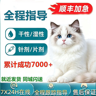 猫咪干性湿性针剂油剂水剂口服片剂营养液