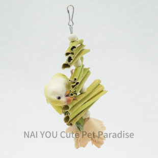 鹦鹉啃咬天然木瓜茎磨牙解闷木珠木片花秋葵鸟磨牙串解压鸟笼玩具