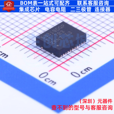 DC-DC电源芯片 TPS53319DQPR LSON-CLIP-22 TI/德州 电子元件配单