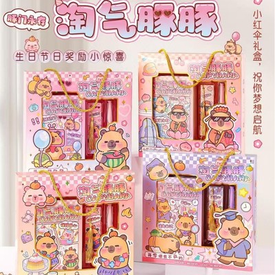 淘气豚豚笔记本礼盒儿童礼品套装