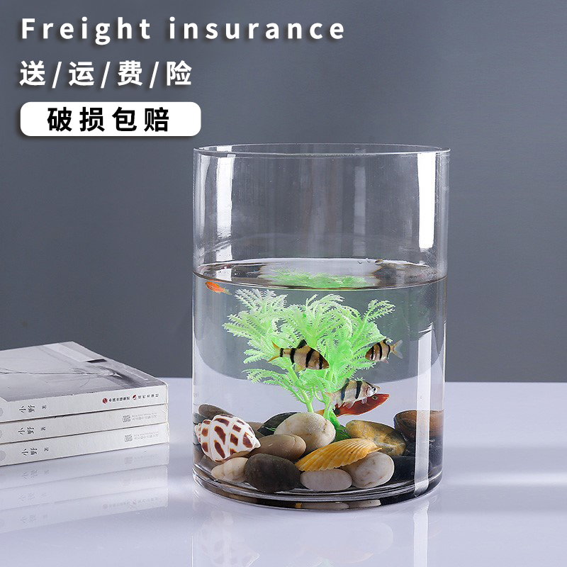 玻璃小型生态圆柱造景乌龟缸龟缸