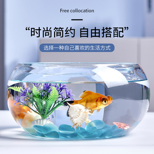 迷你小型造景水培花瓶 创意水族箱生态圆形玻璃金鱼缸 大号乌龟缸