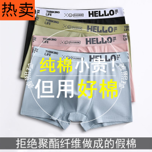 内裤男生纯棉平角裤四角短裤男款青少年发育期学生高中生大童ckп