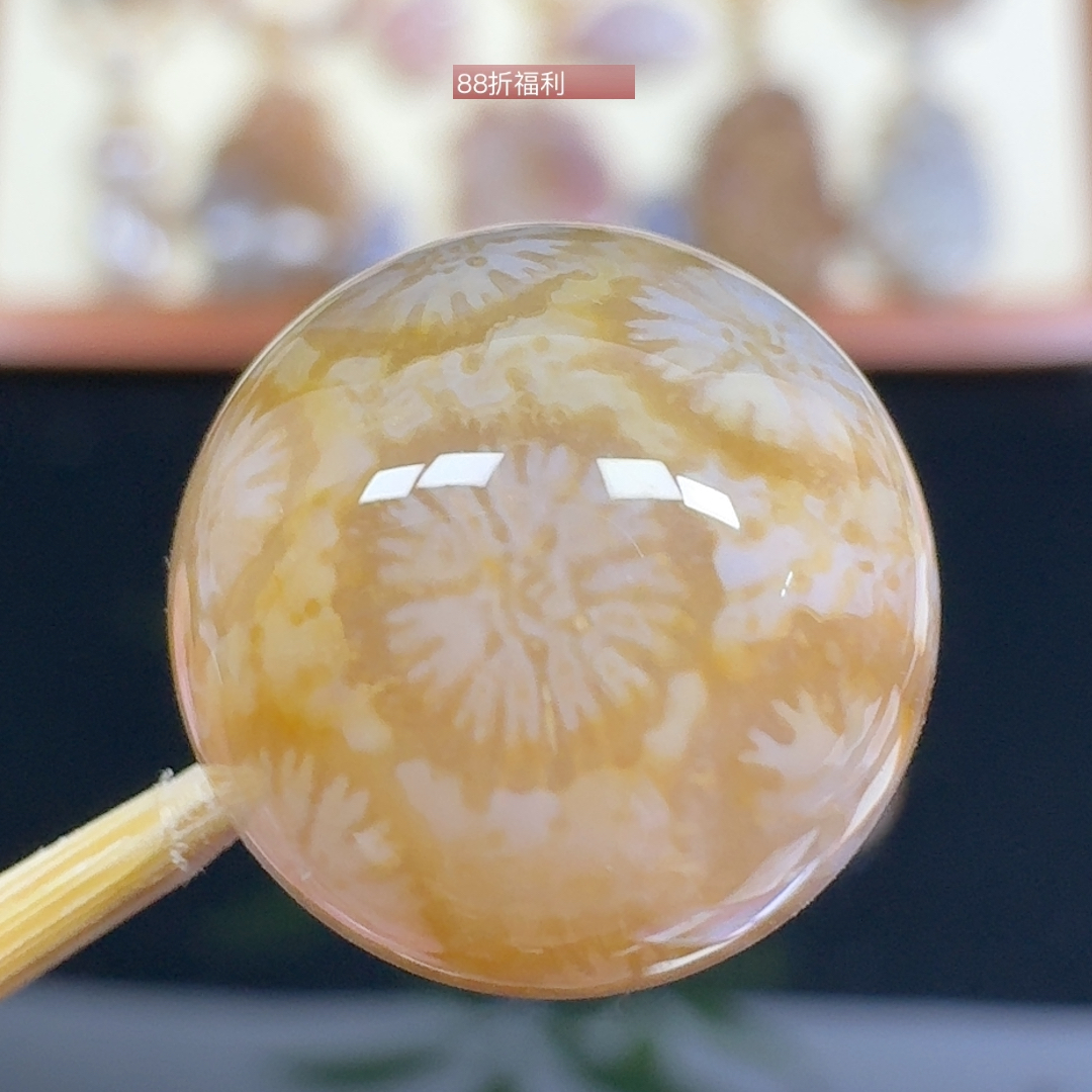 糖冰雏菊花 顶面 纯色 14