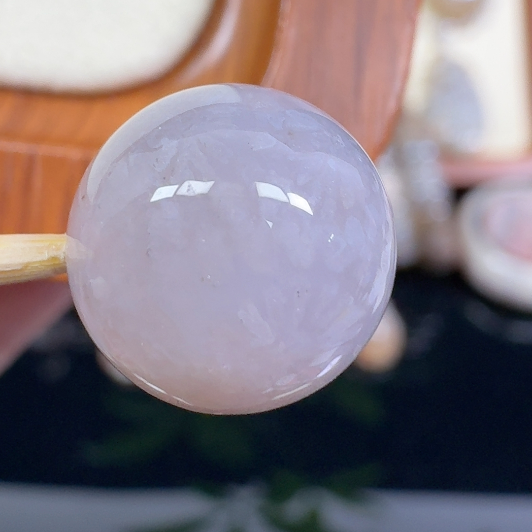 香芋紫冰雏菊花 13+