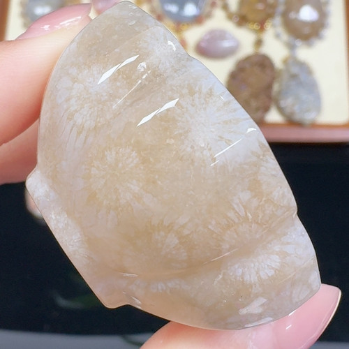 大花 莲花杯 可喝茶