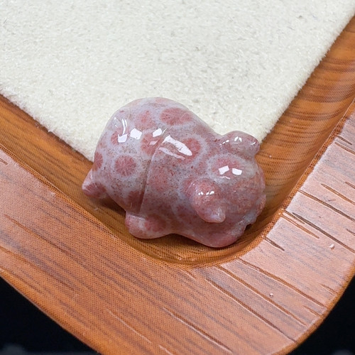 粉小花满花 猪猪