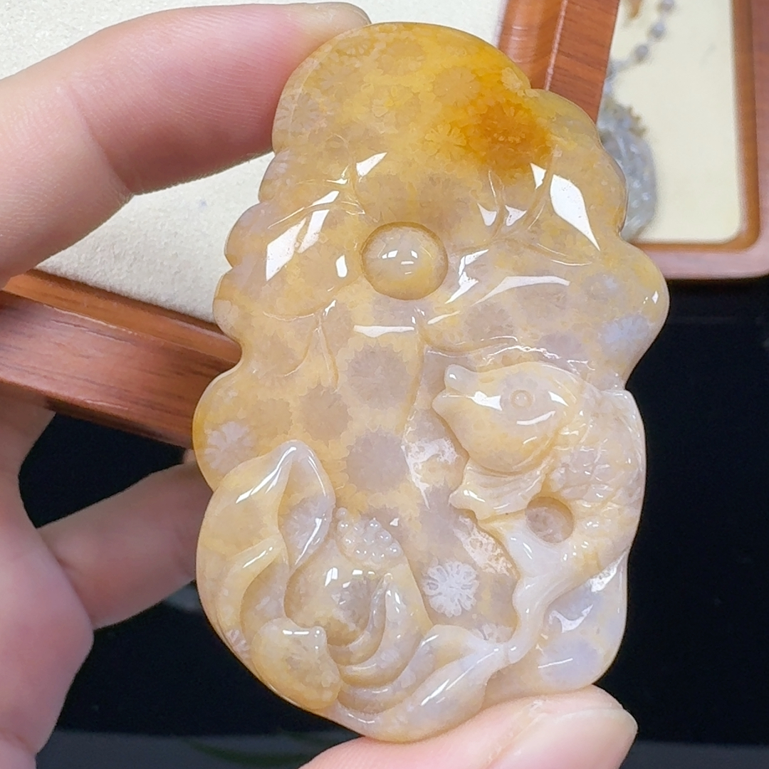 金黄冰润小雏菊花 年年有鱼