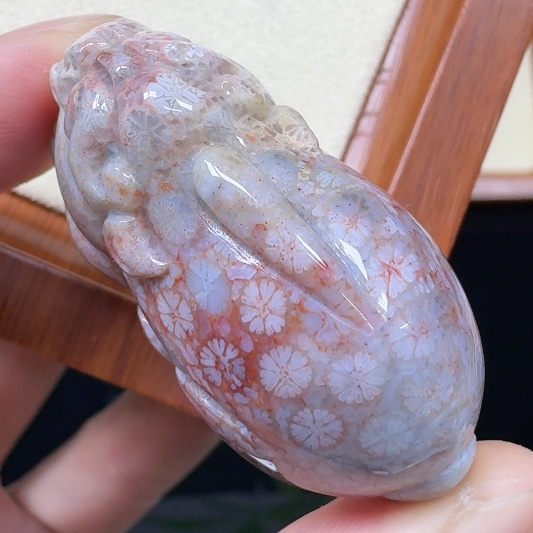 彩小雏菊花 貔貅