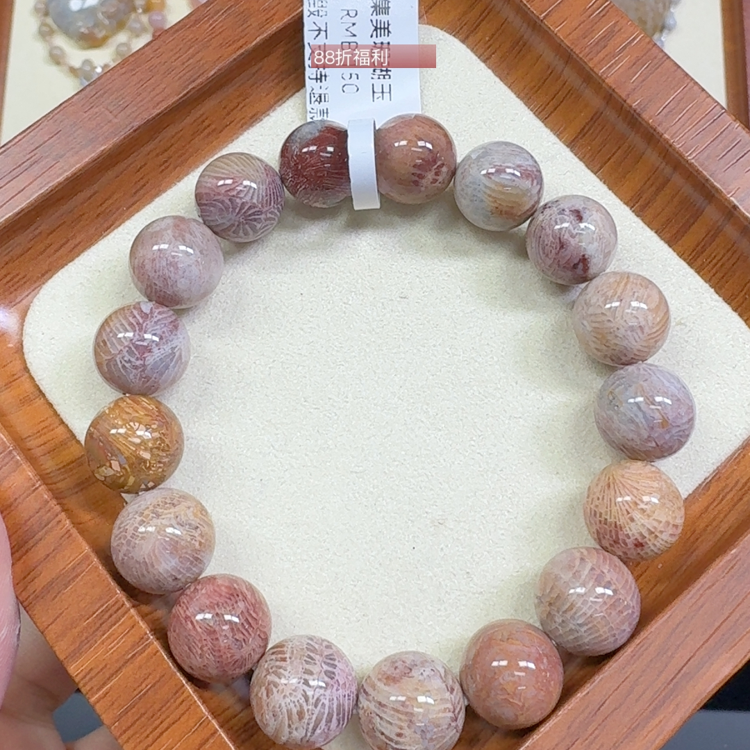 彩色凤尾  龙凤呈祥