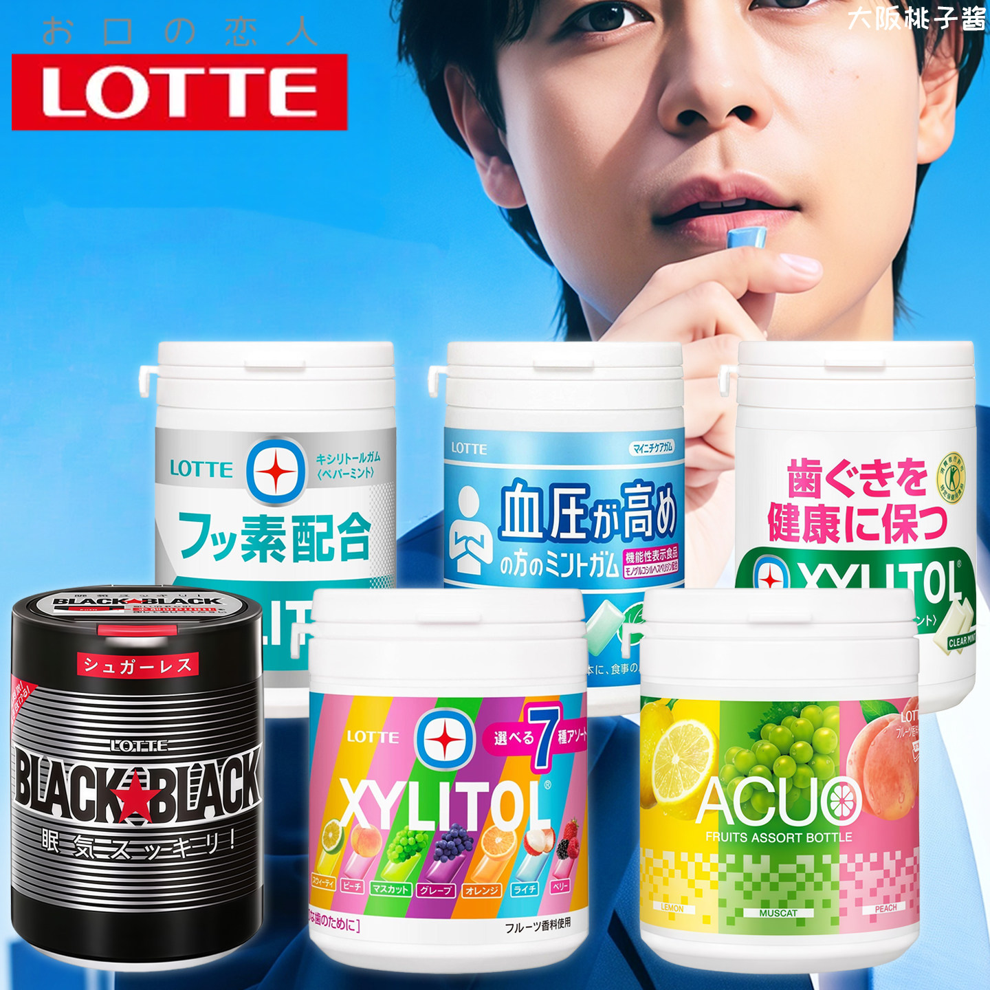 日本Lotte乐天口香糖木糖醇护齿清新口气超强薄荷味水果味口香糖