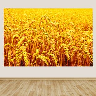 金色秋收图硕果累累大丰收五谷丰登贴画秋天麦穗麦田景色麦子壁画