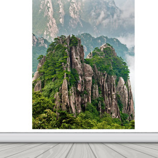 有山无水靠山图竖版贴画墙贴自粘贴纸办公室大山高山客厅玄关定制