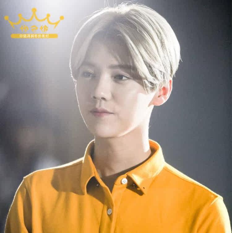 Perruque cheveux raides Court - Ref 2610261 Image 3