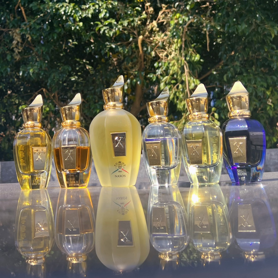 希爵夫 nio 南十字二 南十字1  春光 尽在不言中 0.5ml