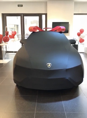 兰博基尼LP610/560/450/710/760盖拉多URUS小牛大牛汽车衣车罩套