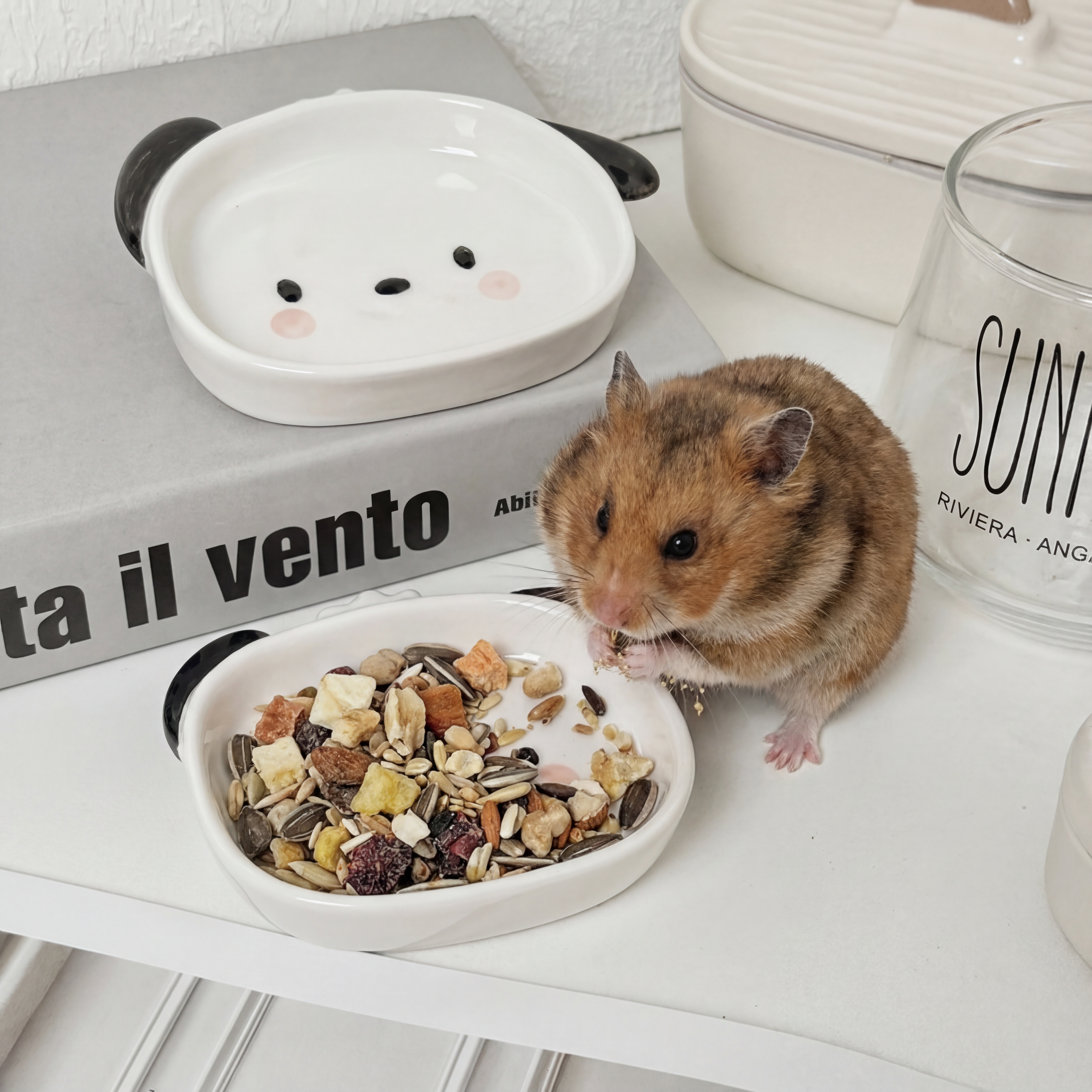 仓鼠用品陶瓷喂食器刺猬金丝熊蜜袋鼯鹦鹉食盘吃饭碗小型仓鼠食盆,宠物/宠物食品及用品,鼠类喂食器,淘宝优惠券,粉丝福利购,淘宝优惠卷