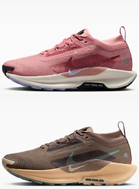 NIKE 耐克女子PEGASUS TRAIL 5 GTX运动训练跑步鞋FQ0912-602-200