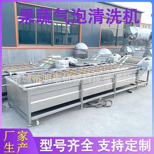 蔬菜洗菜機 洗果機 藍莓楊梅加工清洗風干線 桑葚果蔬氣泡清洗機