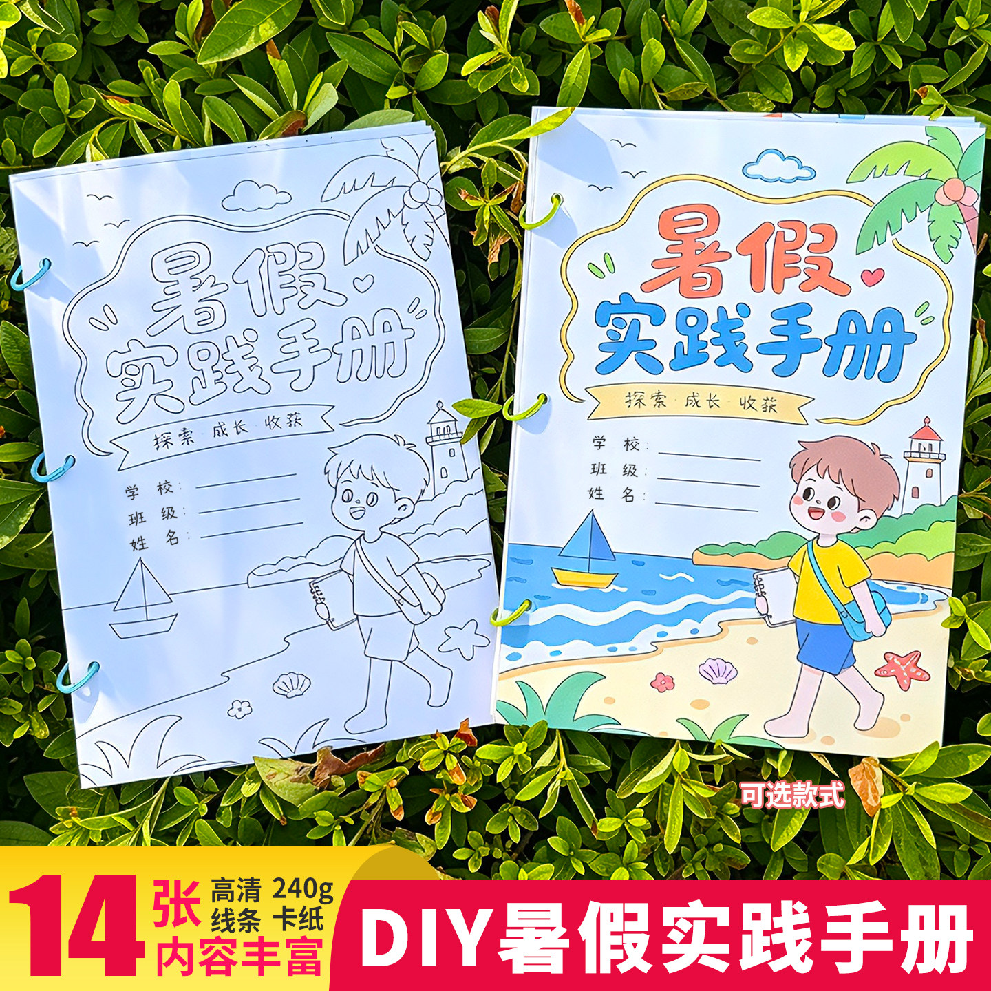 小学生暑假实践活动手册半成品
