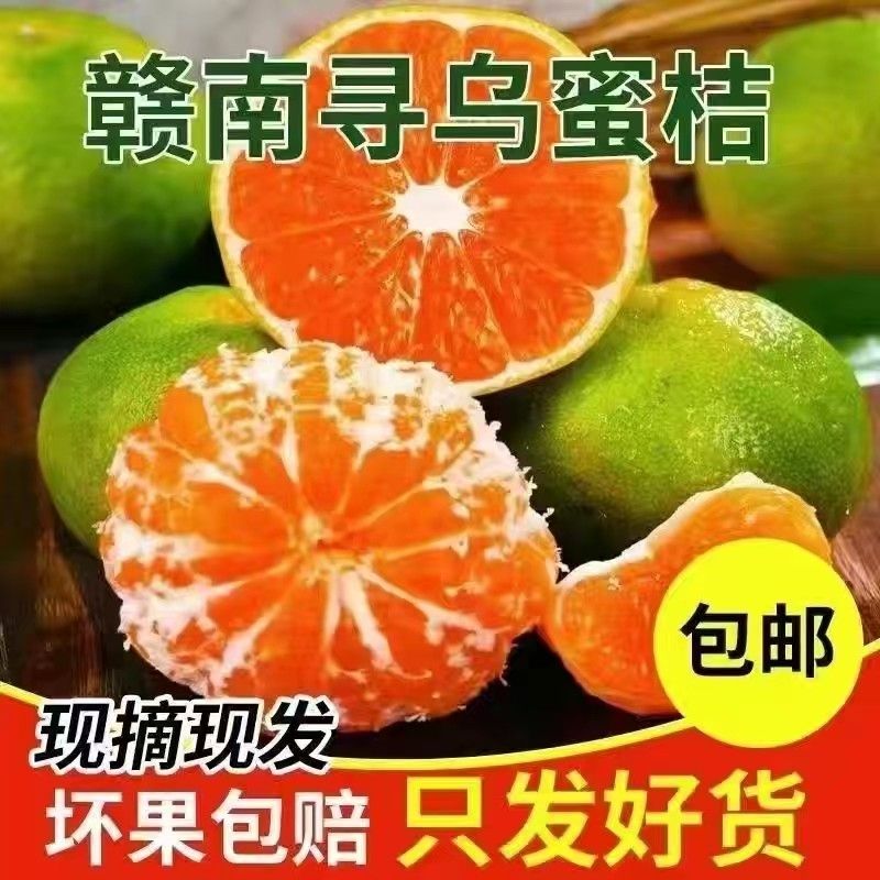 寻乌蜜桔江西赣南新鲜10斤无籽青皮橘子现摘现发当季水果整箱包邮